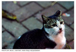 DSCF5701 copy