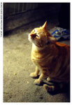 DSCF9067s