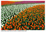 DSCF1881 copy
