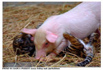 DSCF2310 copy