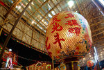 DSCF8139 copy