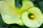 00DSC_0454