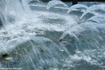 00DSC_5352