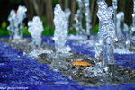 00DSC_5370