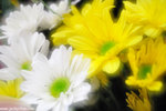 00DSC_5490