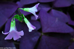 00DSC_5847