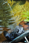 00DSC_5849