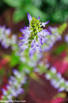 00DSC_5850