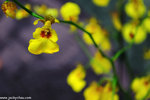 00DSC_5852