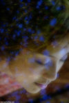 ssDSC_2697
