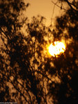 ssP1050484