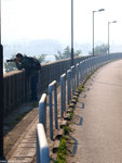 ssP1050745