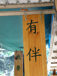 ssP1050883