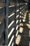 00DSC_2900