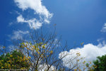 00DSC_5588