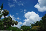 00DSC_5590