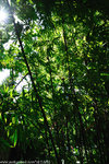 00DSC_5677