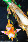 00DSC_5695