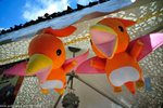 00DSC_5749