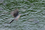 00DSC_6187