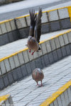 00DSC_6198