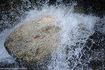 00DSC_6210