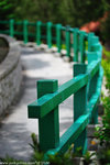00DSC_6216