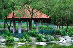 00DSC_6220