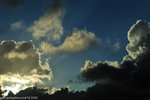 00DSC_6624