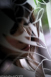 00DSC_7005