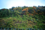 00DSC_3255