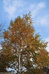 00DSC_3271