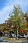 00DSC_3281