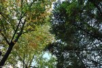 00DSC_3282