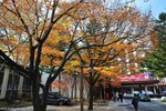 00DSC_3284