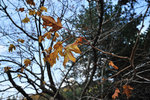 00DSC_3293