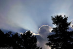 00DSC_3298