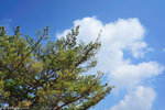 00DSC_3331