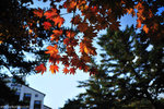00DSC_3349