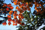 00DSC_3350