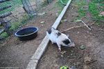 00DSC_3462