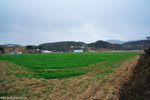00DSC_3463