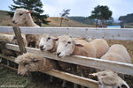 00DSC_3503