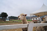 00DSC_3509
