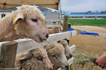 00DSC_3522