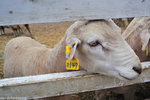 00DSC_3523