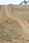 00DSC_3537