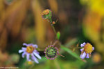 00DSC_3540