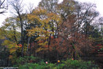 00DSC_3547