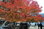 00DSC_3565